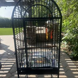 Parrot cage