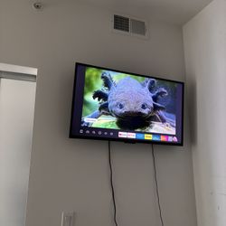 30 Inch Insignia Tv 