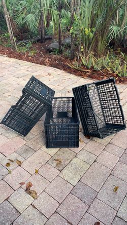 Storage plastic containers $5.00 EACH, CASH. TEXT FOR PRICES