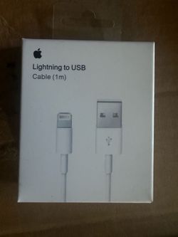 iPhone charger