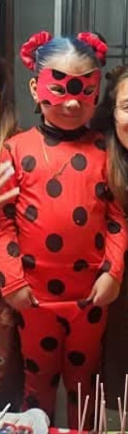 Lady Bug Costume 