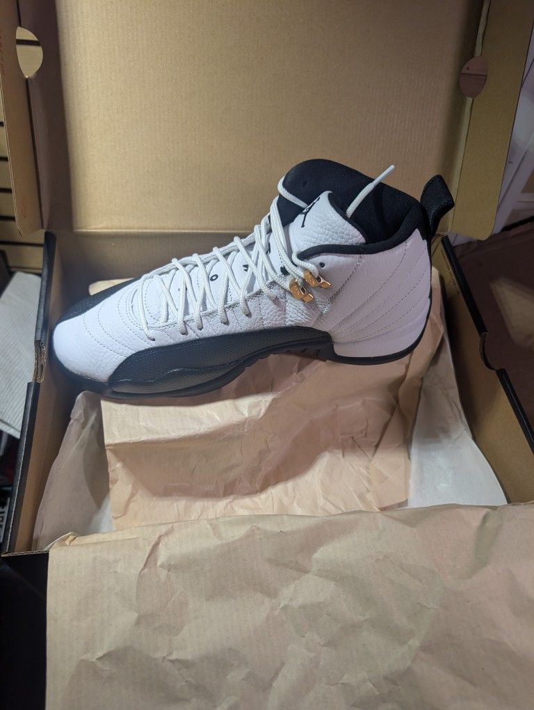 Jordan 12 Taxi's 2025
