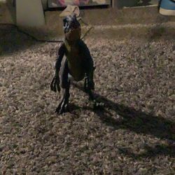 Scorpious Rex Dinosaur 