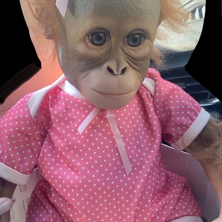 Reborn Monkey Annabelle Hugs Monkey Ashton-Drake Realistic Monkey