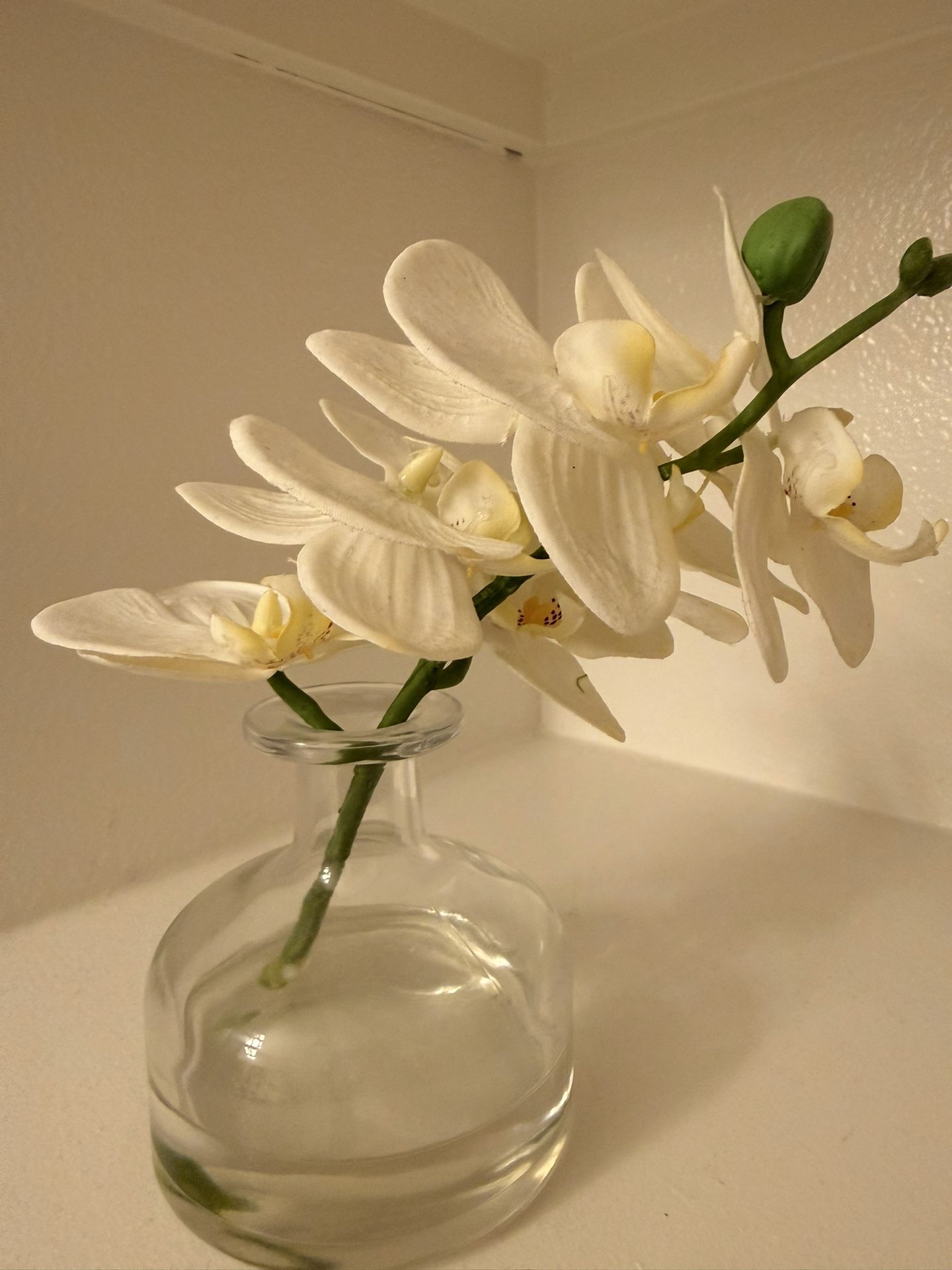 Fake Decor Plant