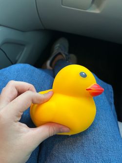 A duck squishy