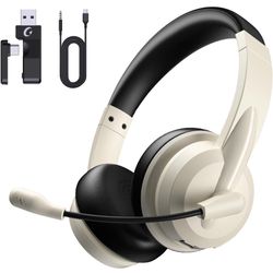 Headset With Mic 