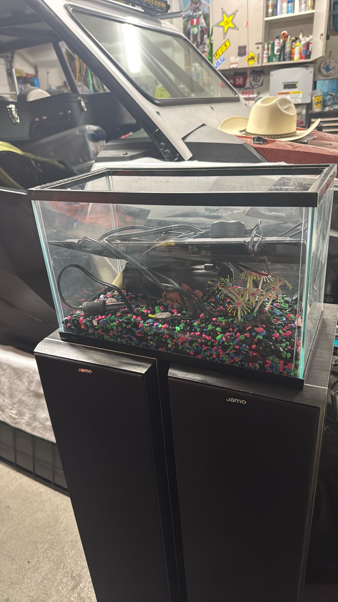 5 Gal Fish tank