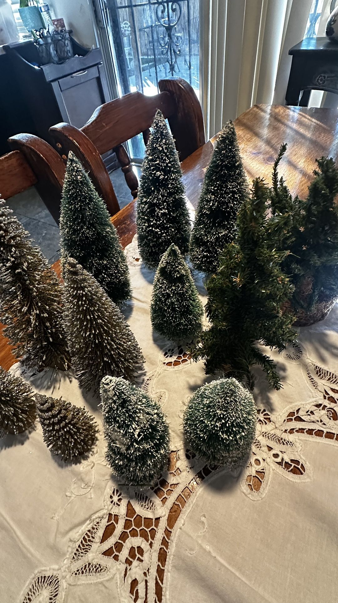 Mini Trees