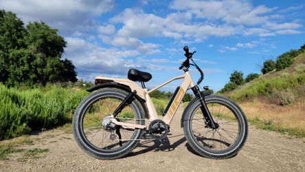 Fat Tires Electric Bike full suspension