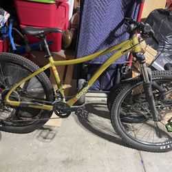 Mountain Bike