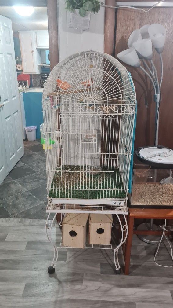 Bird Cage For Sale