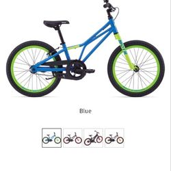 Giant Motr Kids Bike