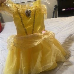 Princess Costume