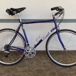 Coolest Road / City Bike Ever!