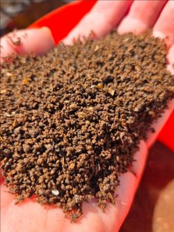 Worm Castings Black Gold