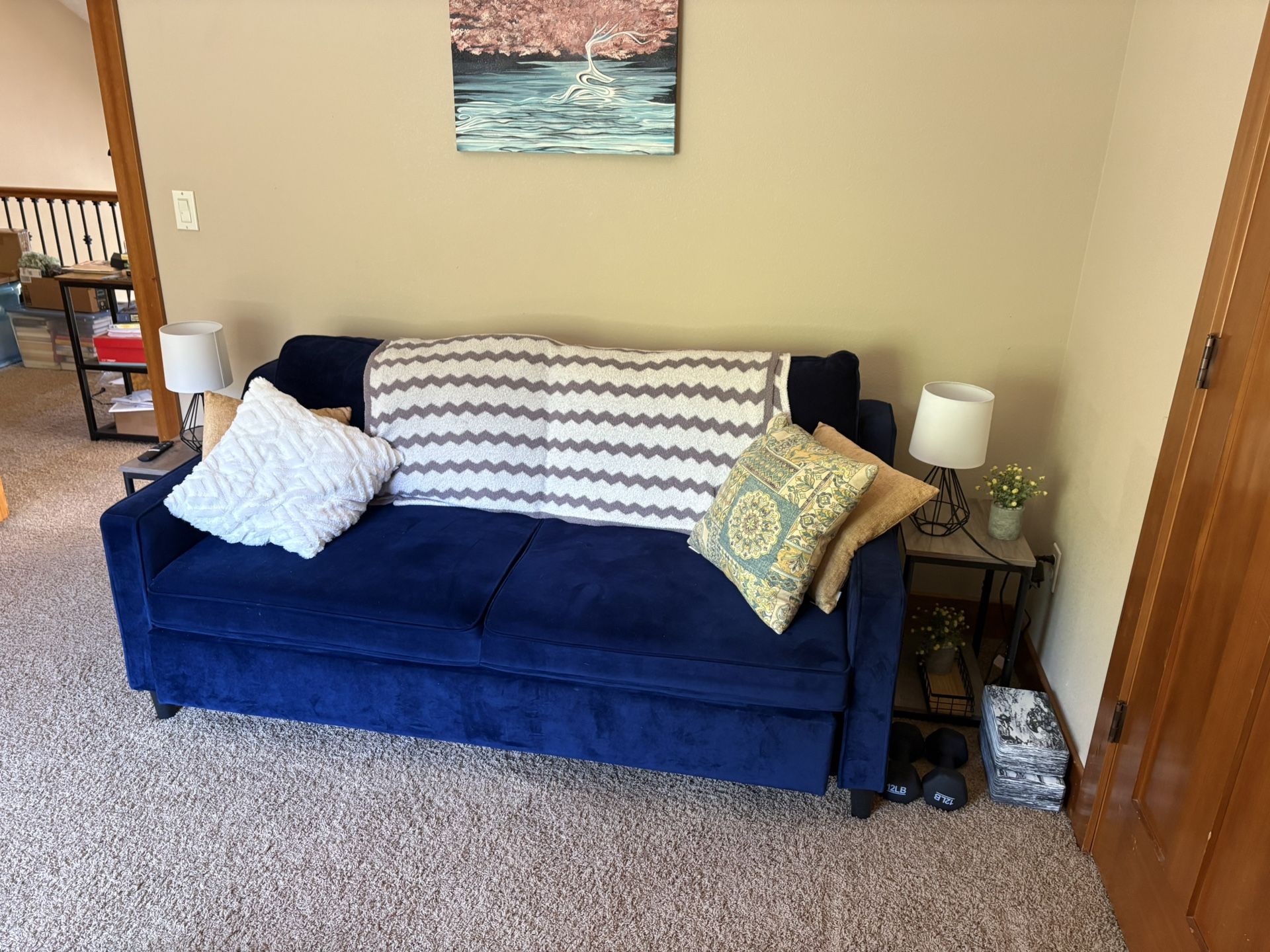 Sleeper Couch