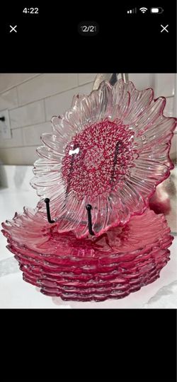4 Platos De Cristal Wild Flower De Princes House