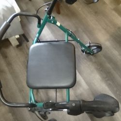 Adult Walker