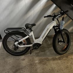 Electric Bicycle