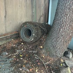 Wire Fencing 