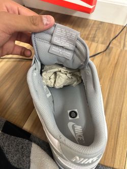 Nike Low top dunks Light Grey/white