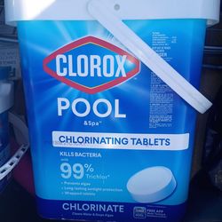 Clorox chlorine tabs