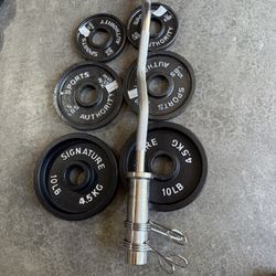 Olympic Weights Curl Bar
