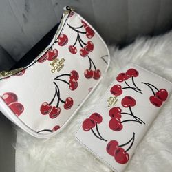 Coach Purse & Wallet 