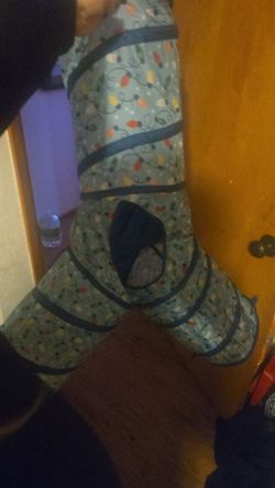 3 way cat tunnel