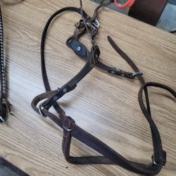 Headstall 