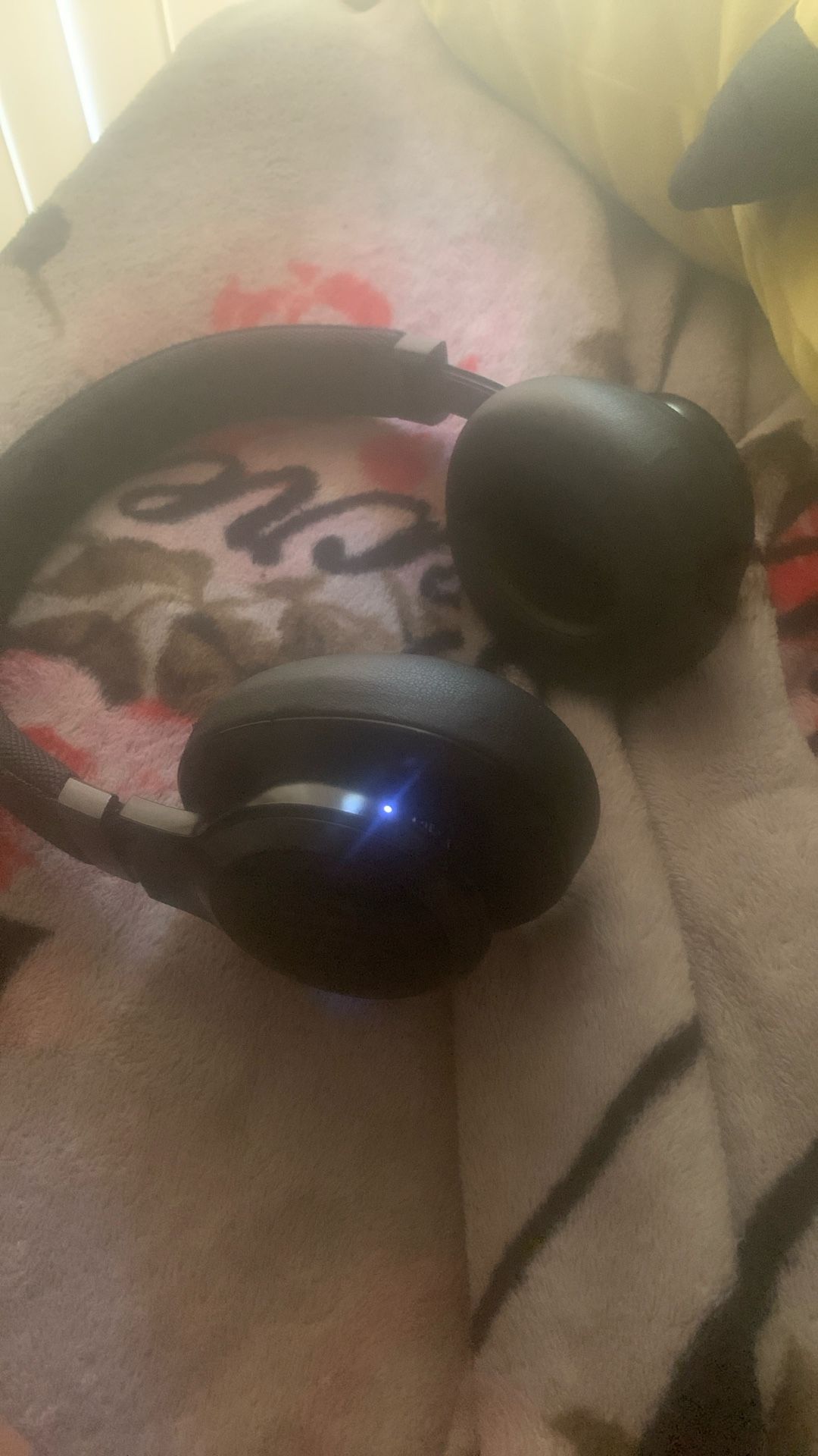 JBL Live Headphones