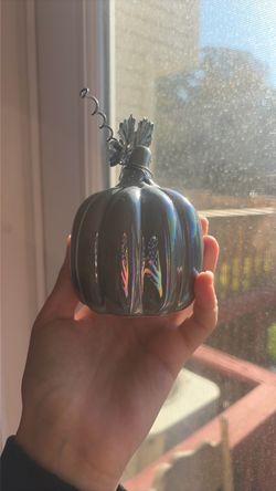 mini pumpkin