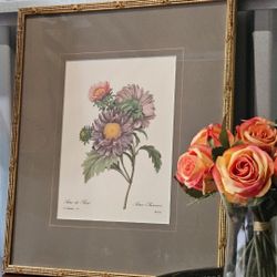 Vintage BOTANICAL Fine Print 