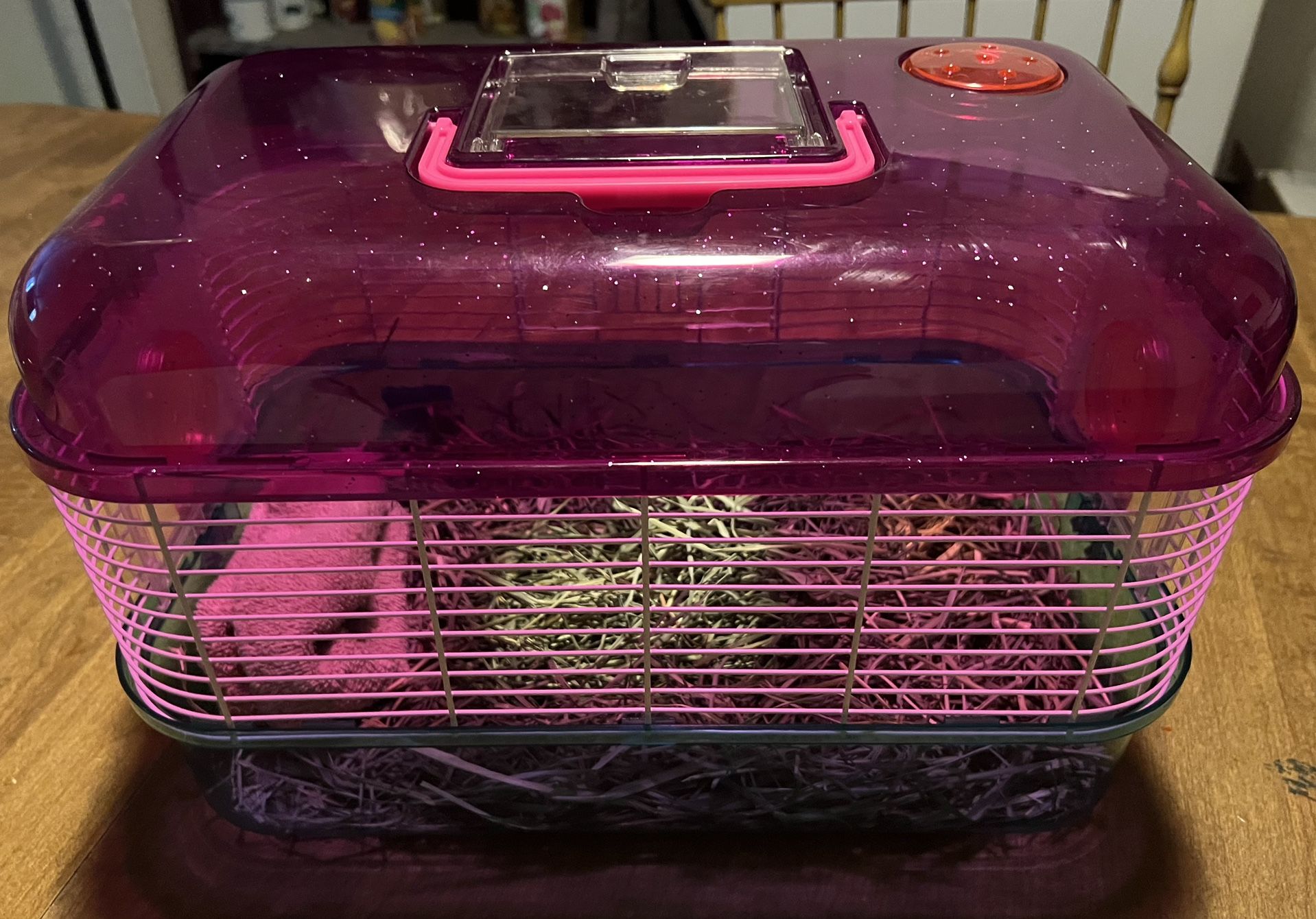 Hampster Cage