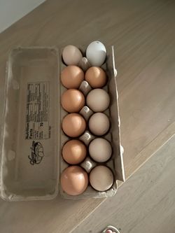 Daily fresh eggs