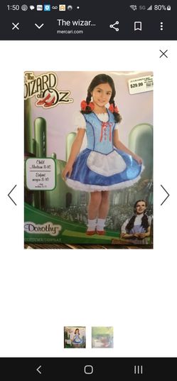 Dorothy costume the wizard of oz
