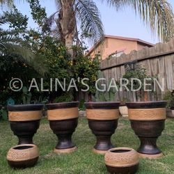 Masetas De Barro / Clay Pots 