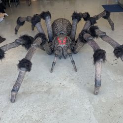 Holloween  8’ Colossal Spider