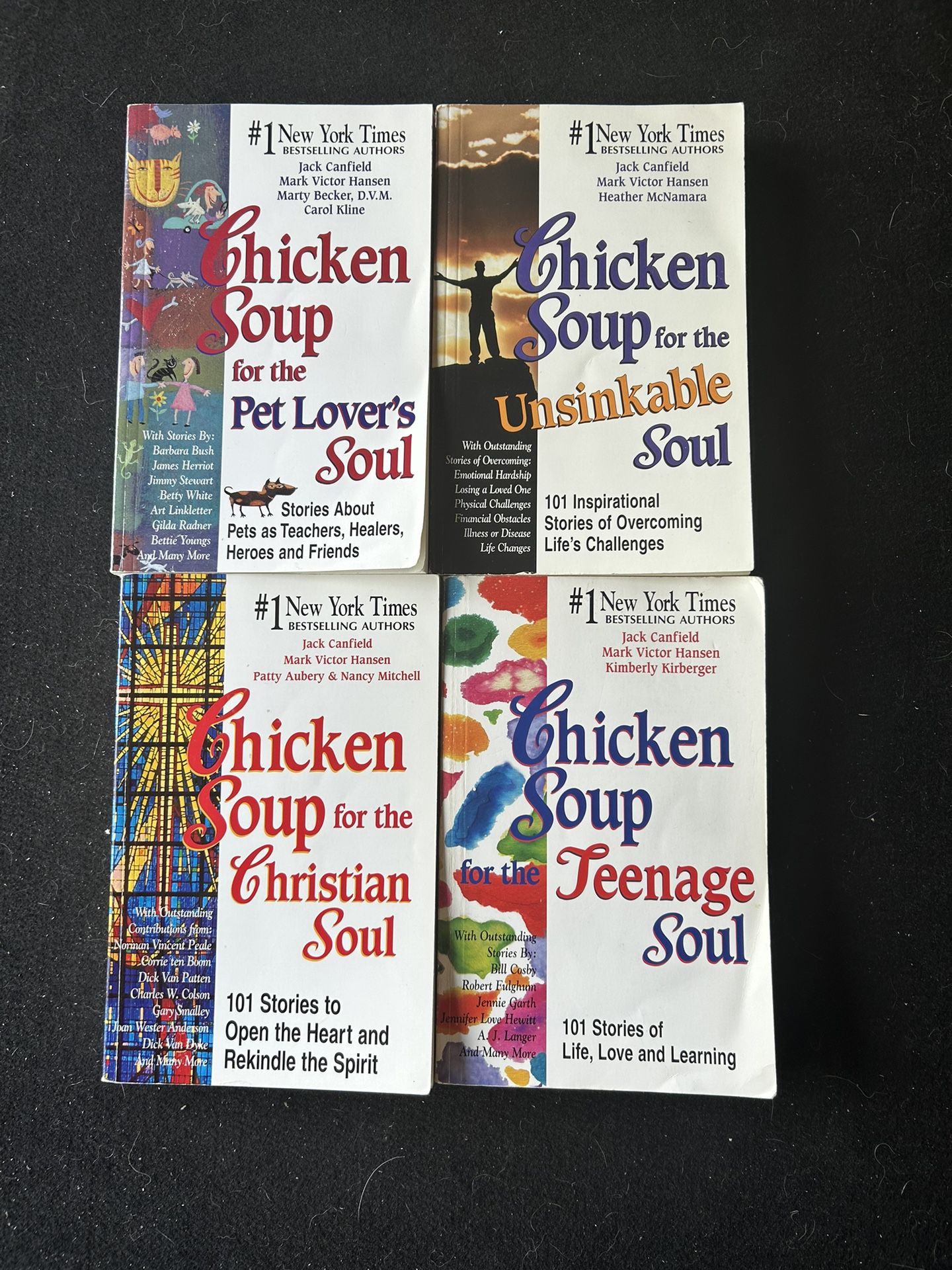 Chicken Soup Book Lot