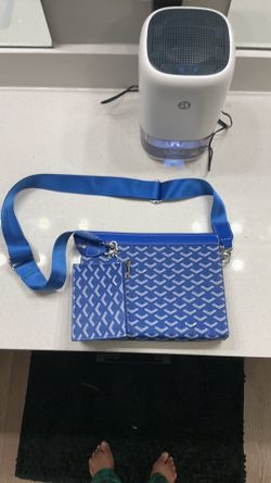Goyard Bag