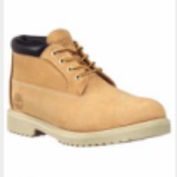 Brand new Timberland  chuckers Size 9