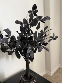 Flowers stand