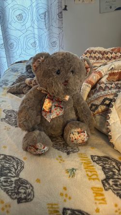 Teddy Bear Plushy
