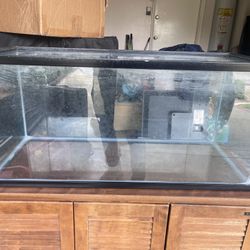 40 Gallon Fish Tank