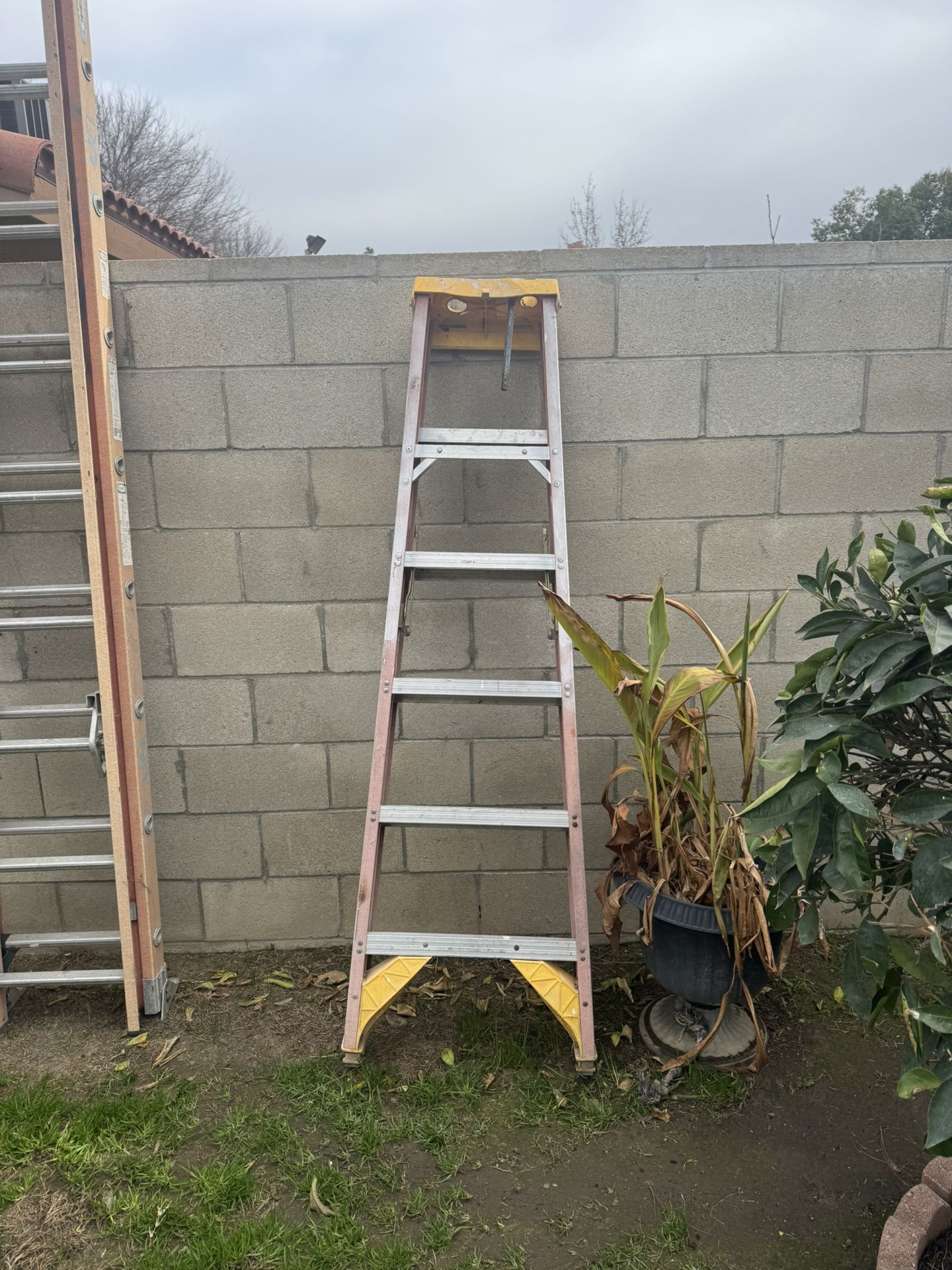 2 Ladders