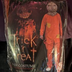Sam Trick Or Treat Costume 