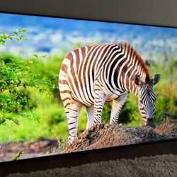 Samsung Qled 70 Inch 2024