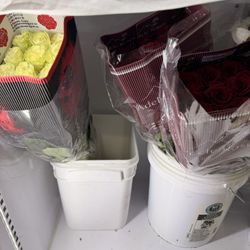 box of roses white and red