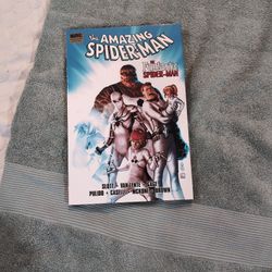 Spiderman: The Fantastic Spiderman